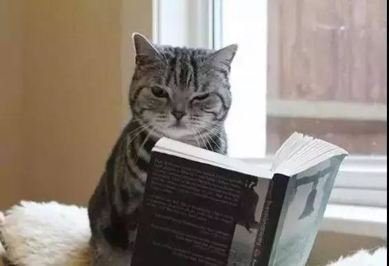 深圳激光打標(biāo)機民升激光開工了